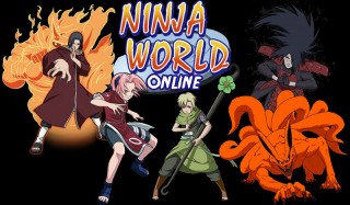 Ninja World